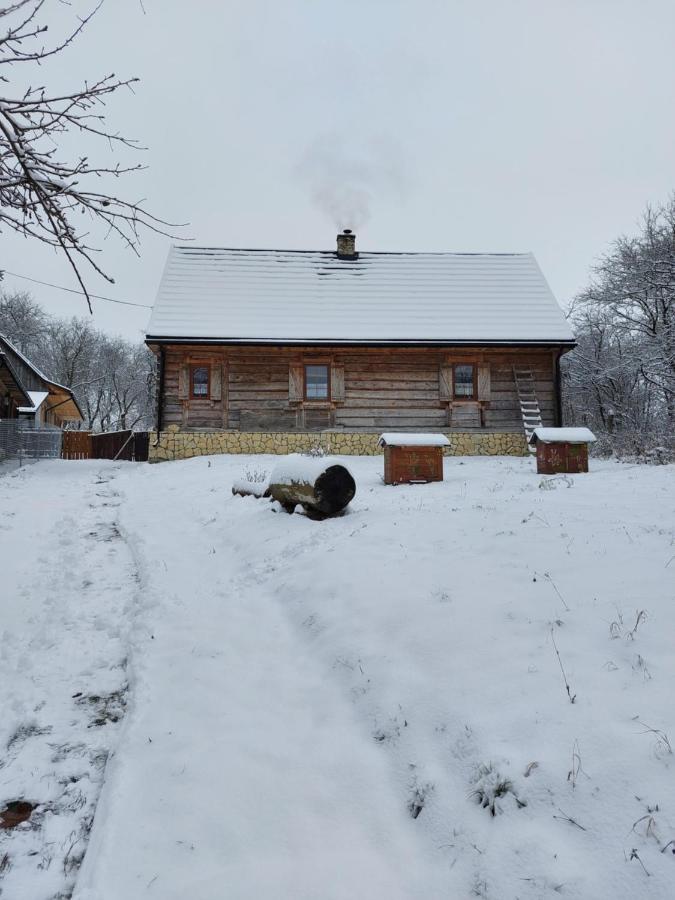 Lipowewzgorze Danusia Holiday home *